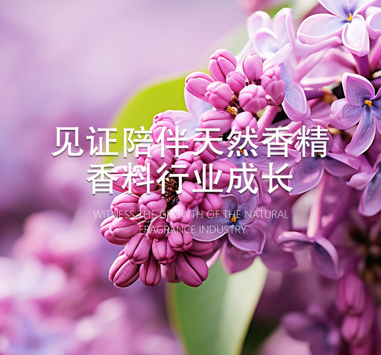 asiagame(中国)官方网站